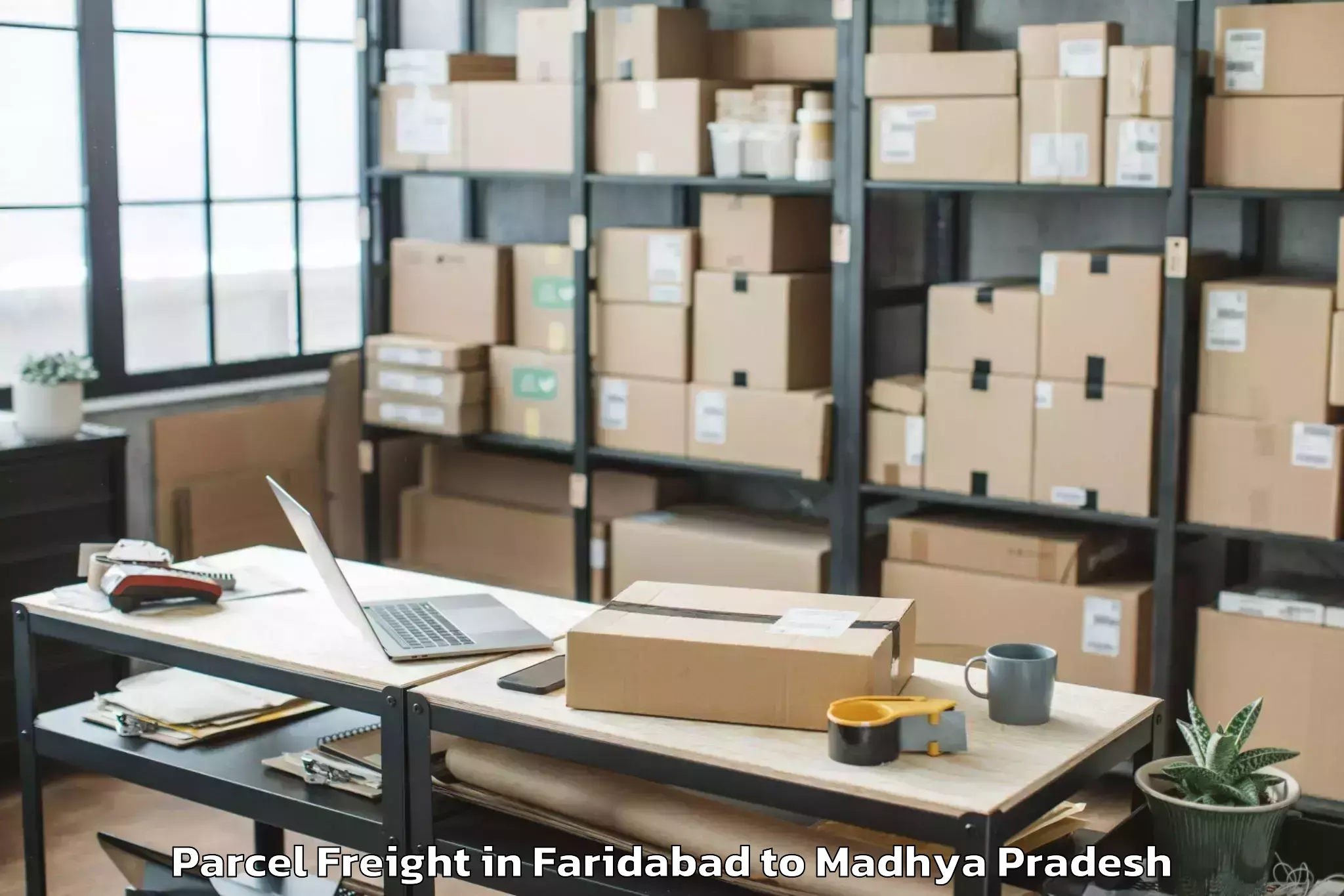 Book Faridabad to Sanwer Parcel Freight